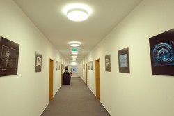 Round Circle Example