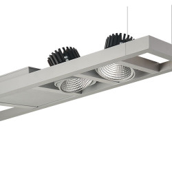 System 2 Dual